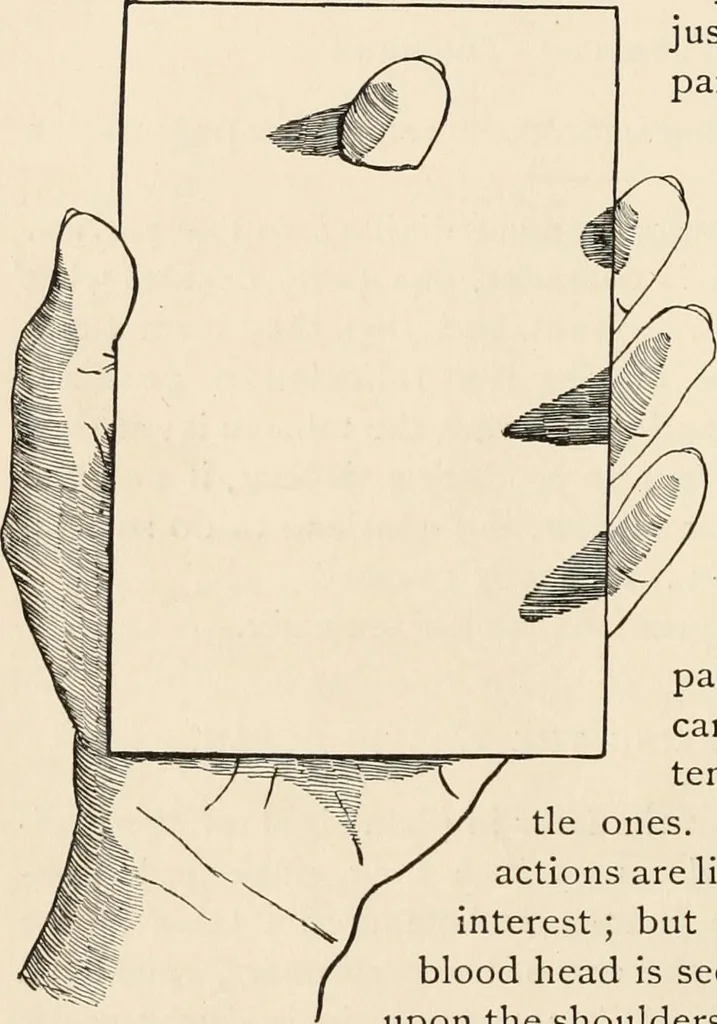 An illustration from How to amuse yourself and others. The American girl's handy book, 1887, leaf 363
