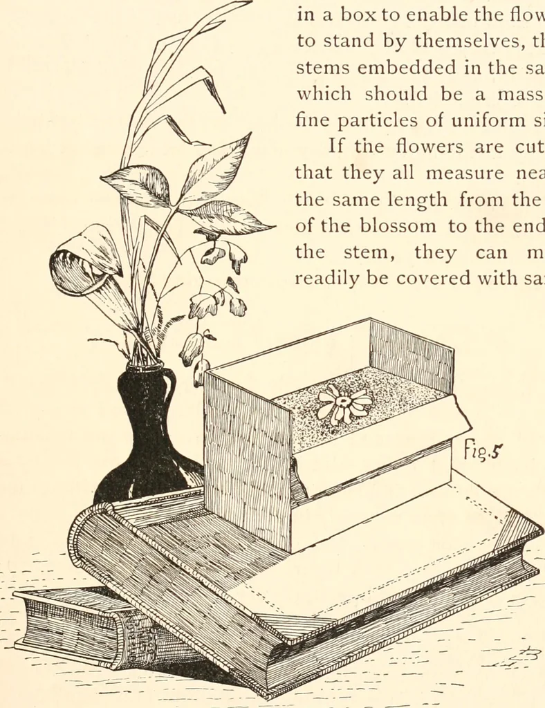An illustration from How to amuse yourself and others. The American girl's handy book, 1887, leaf 38