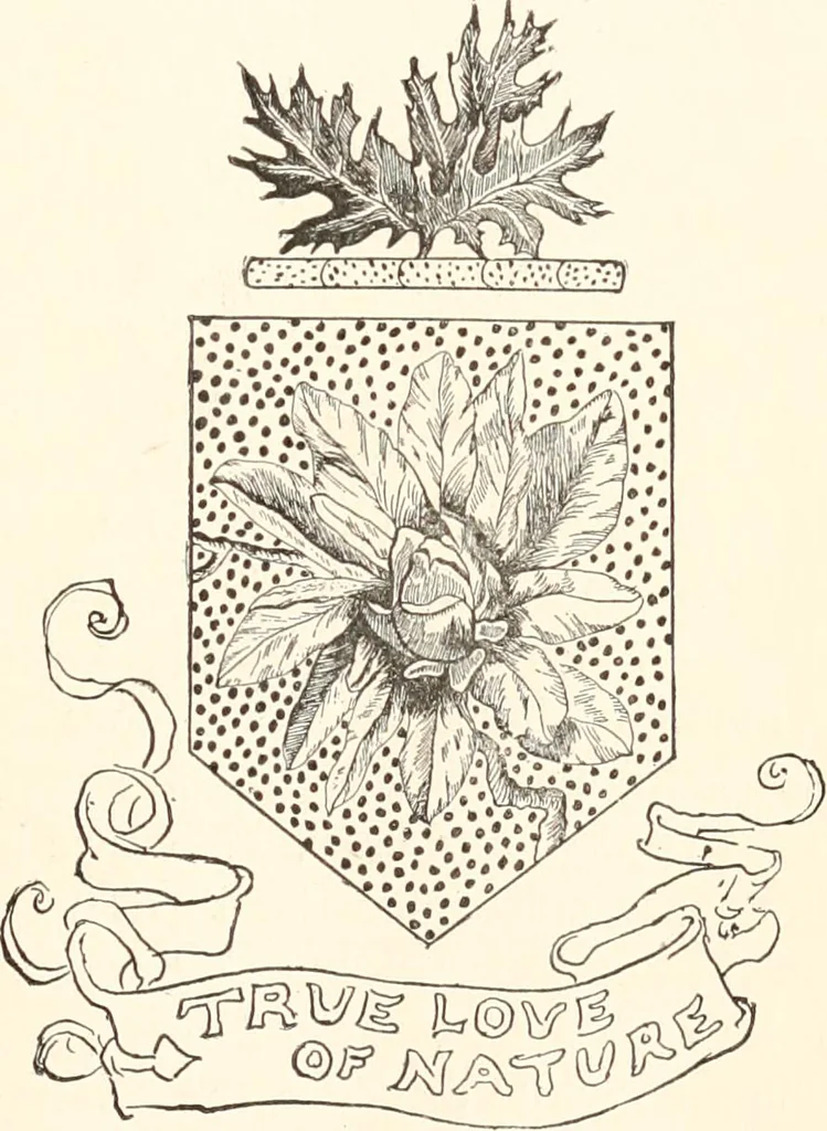 An illustration from How to amuse yourself and others. The American girl's handy book, 1887, leaf 392