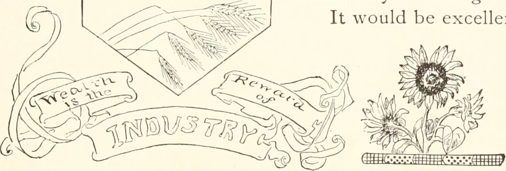 An illustration from How to amuse yourself and others. The American girl's handy book, 1887, leaf 394