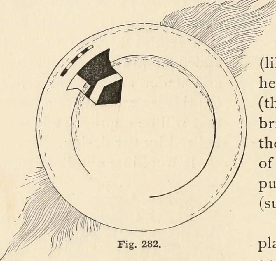 An illustration from How to amuse yourself and others. The American girl's handy book, 1887, leaf 395