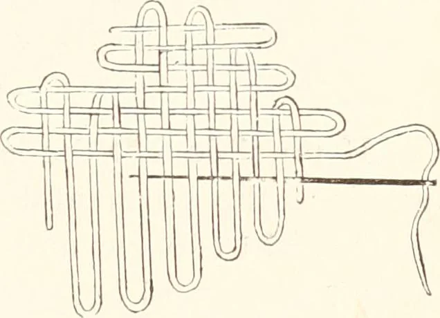 An illustration from How to amuse yourself and others. The American girl's handy book, 1887, leaf 406