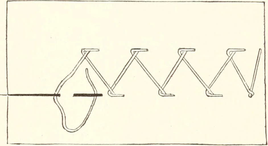 An illustration from How to amuse yourself and others. The American girl's handy book, 1887, leaf 408