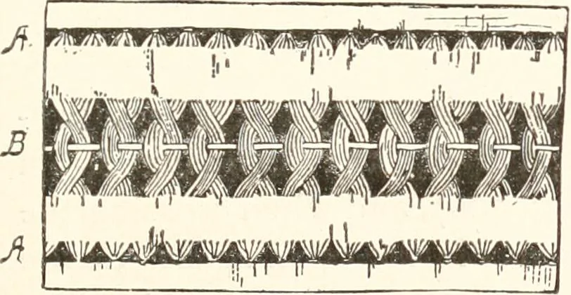 An illustration from How to amuse yourself and others. The American girl's handy book, 1887, leaf 410