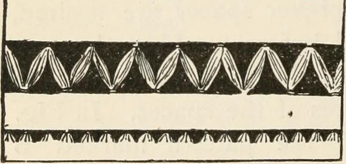 An illustration from How to amuse yourself and others. The American girl's handy book, 1887, leaf 411