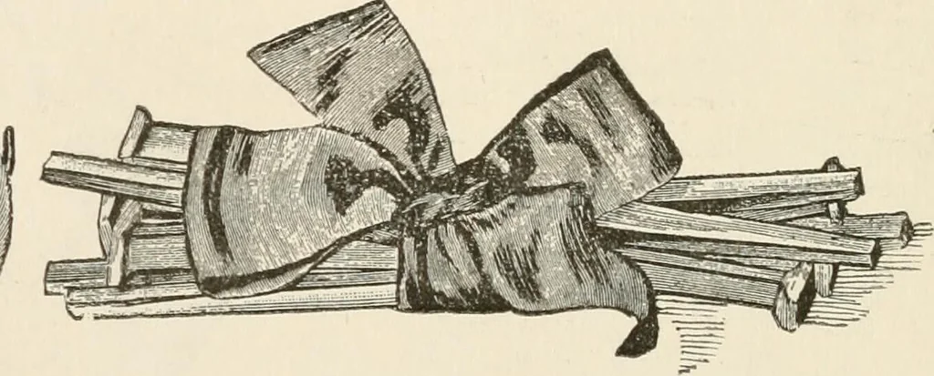 An illustration from How to amuse yourself and others. The American girl's handy book, 1887, leaf 433