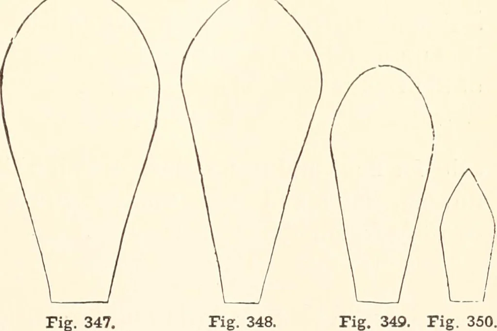 An illustration from How to amuse yourself and others. The American girl's handy book, 1887, leaf 440