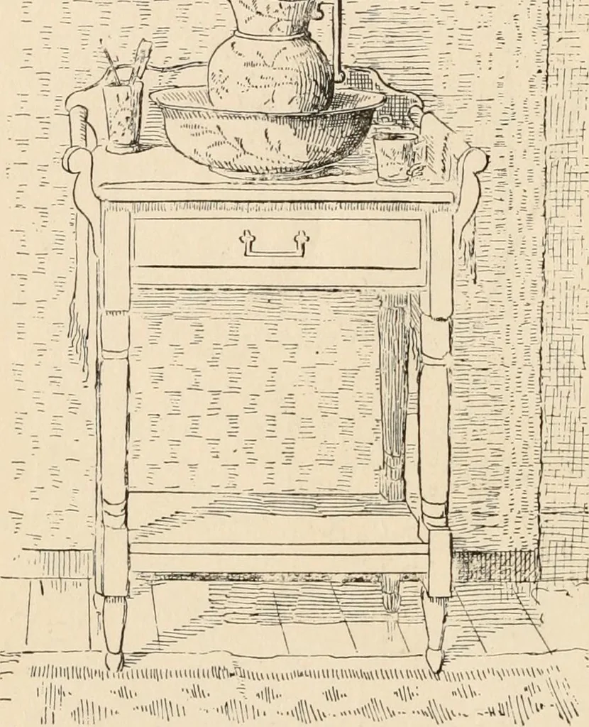 An illustration from How to amuse yourself and others. The American girl's handy book, 1887, leaf 467