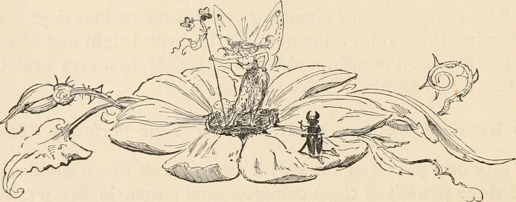 An illustration from How to amuse yourself and others. The American girl's handy book, 1887, leaf 47