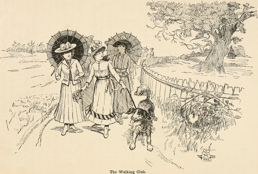 An illustration from How to amuse yourself and others. The American girl's handy book, 1887, leaf 49