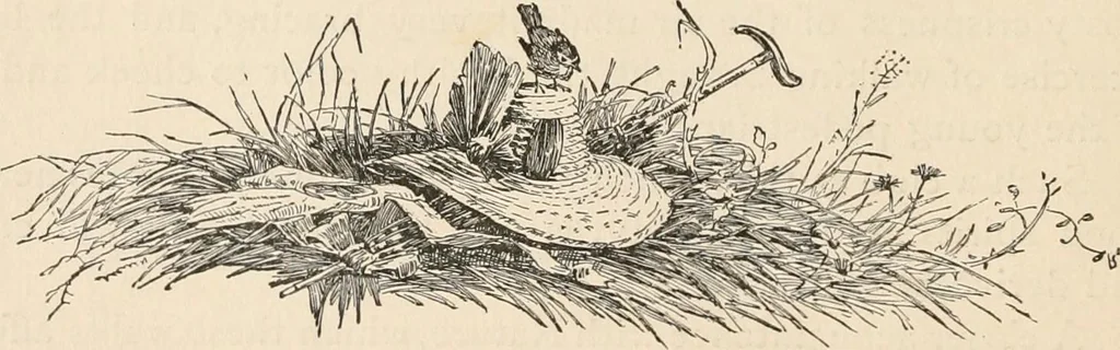 An illustration from How to amuse yourself and others. The American girl's handy book, 1887, leaf 51