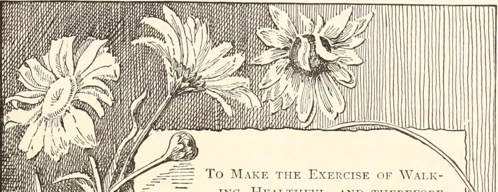 An illustration from How to amuse yourself and others. The American girl's handy book, 1887, leaf 52