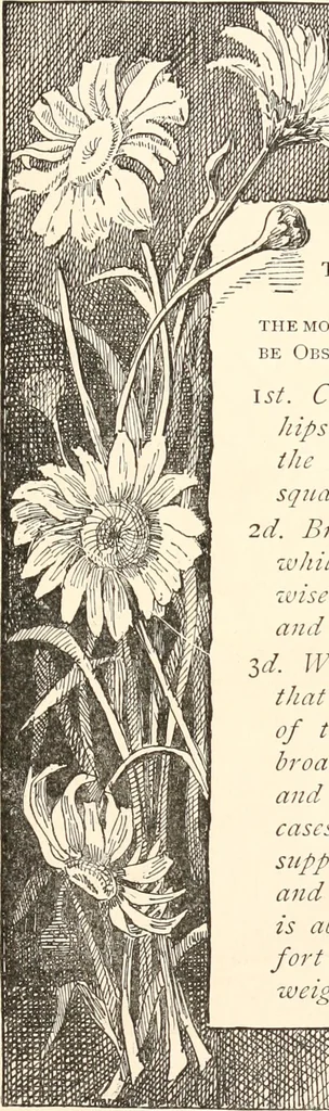 An illustration from How to amuse yourself and others. The American girl's handy book, 1887, leaf 52