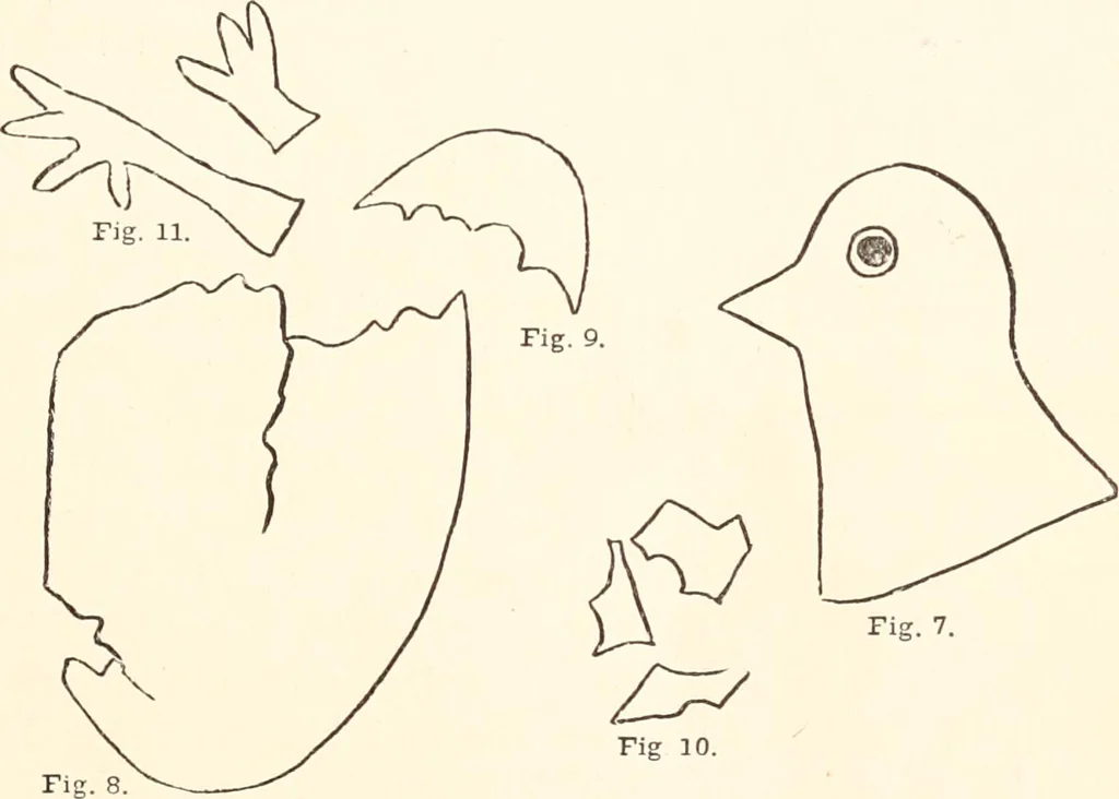 An illustration from How to amuse yourself and others. The American girl's handy book, 1887, leaf 72