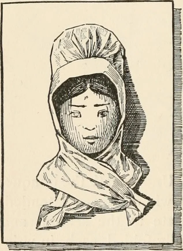 An illustration from How to amuse yourself and others. The American girl's handy book, 1887, leaf 73