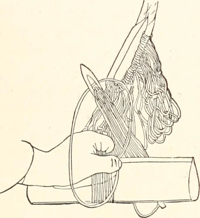 An illustration from How to amuse yourself and others. The American girl's handy book, 1887, leaf 82