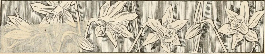 An illustration from How to amuse yourself and others. The American girl's handy book, 1887, leaf 91