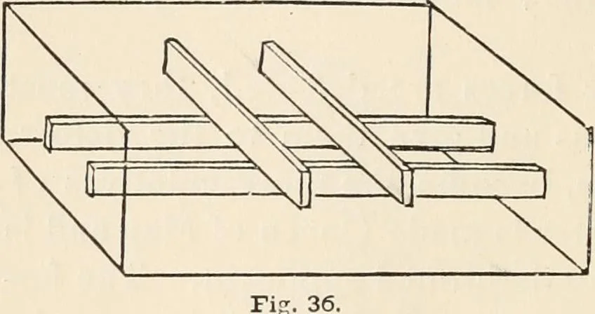 An illustration from How to amuse yourself and others. The American girl's handy book, 1887, leaf 99