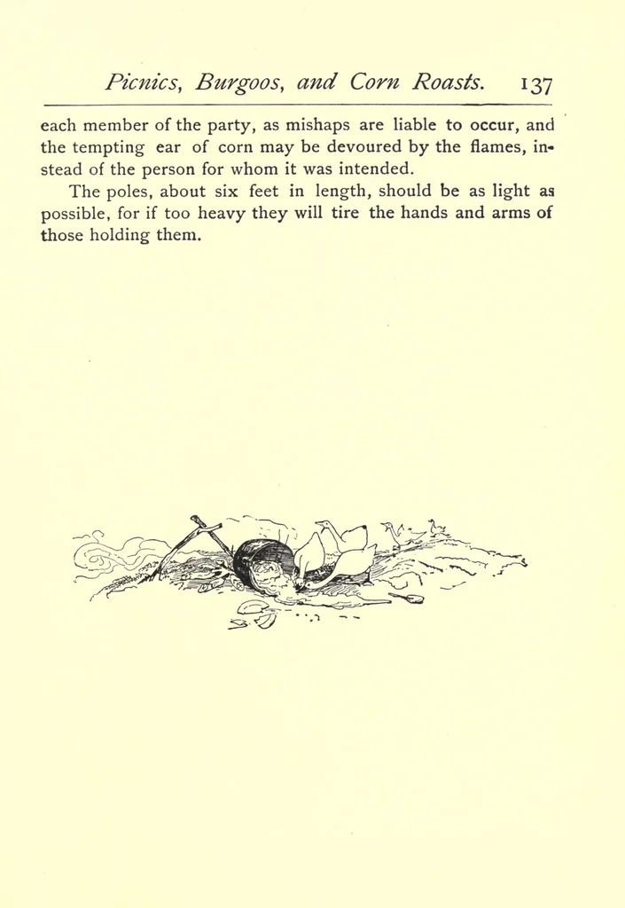 An illustration from How to amuse yourself and others : the American girl's handy book, 1887, leaf 157