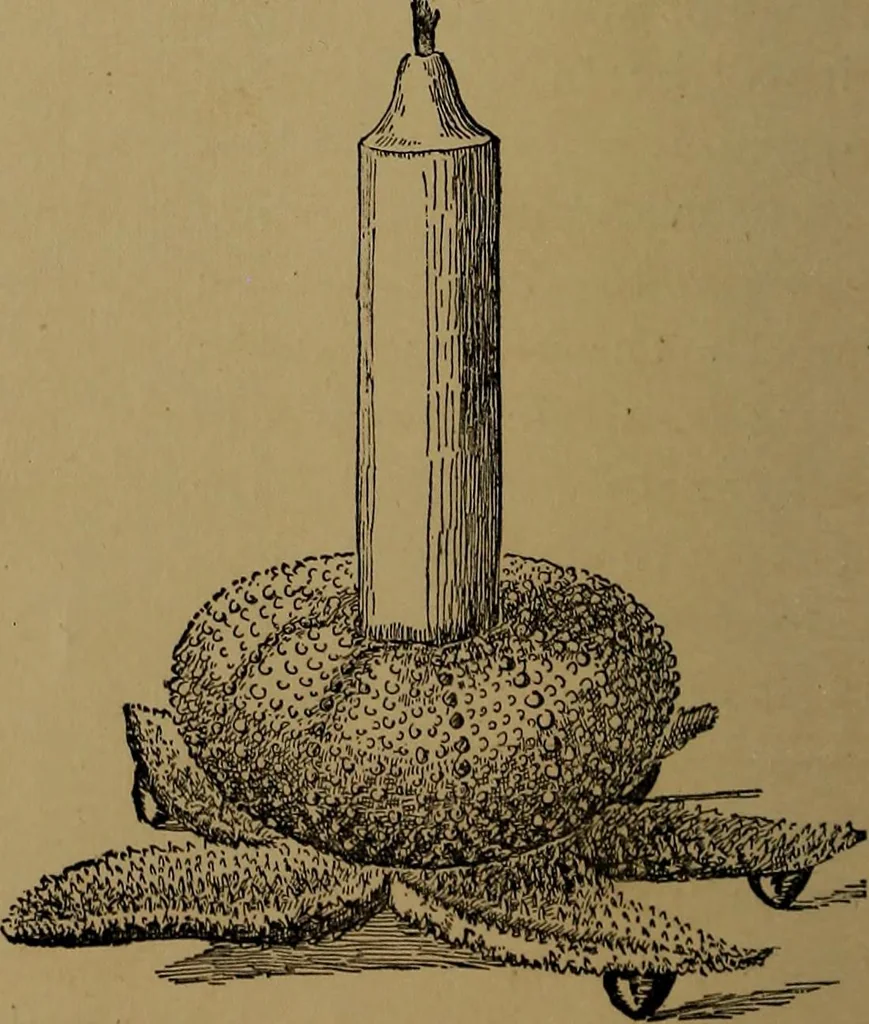An illustration from How to amuse yourself and others : the American girl's handy book, 1887, leaf 119