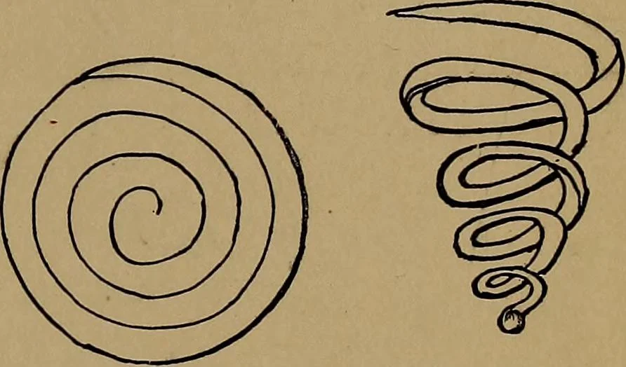 An illustration from How to amuse yourself and others : the American girl's handy book, 1887, leaf 130