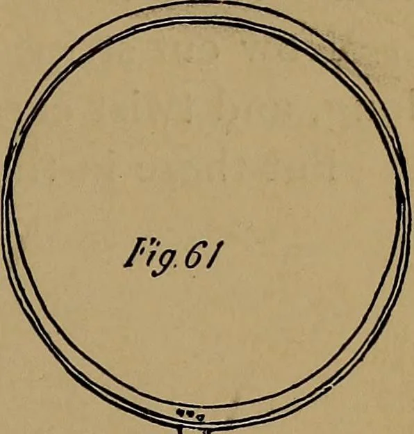 An illustration from How to amuse yourself and others : the American girl's handy book, 1887, leaf 132