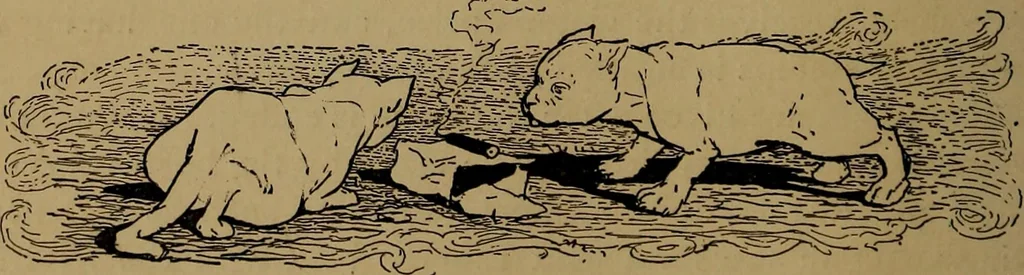 An illustration from How to amuse yourself and others : the American girl's handy book, 1887, leaf 139