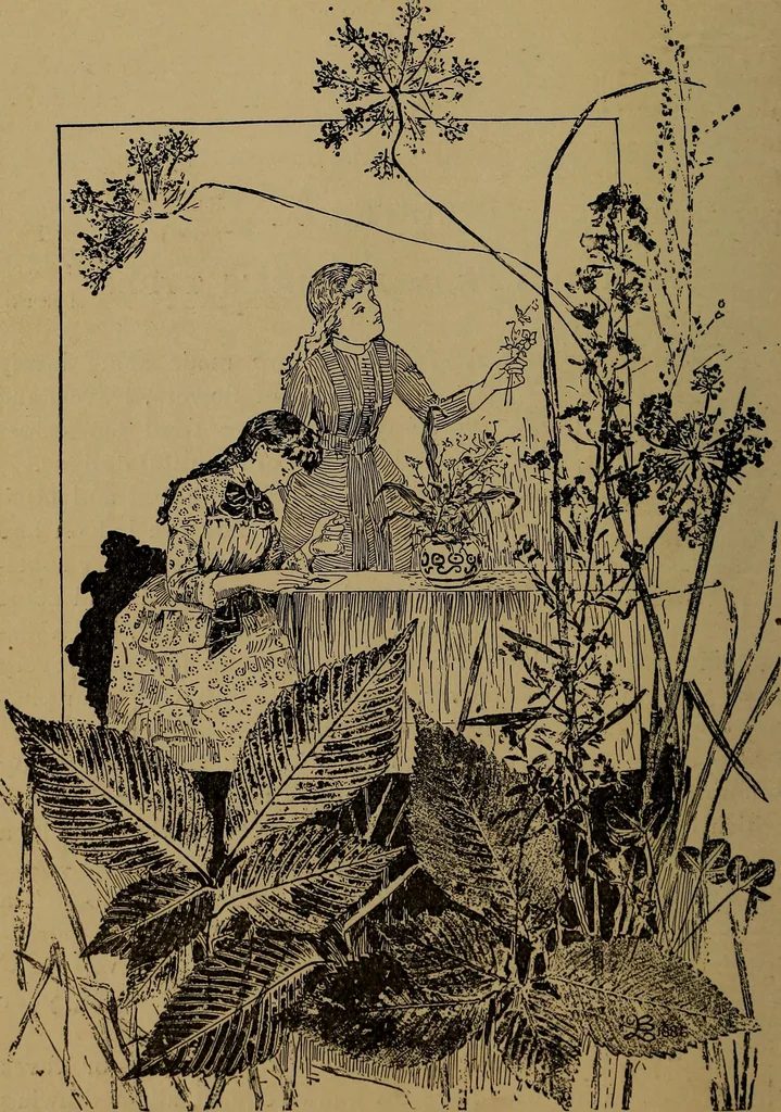 An illustration from How to amuse yourself and others : the American girl's handy book, 1887, leaf 141