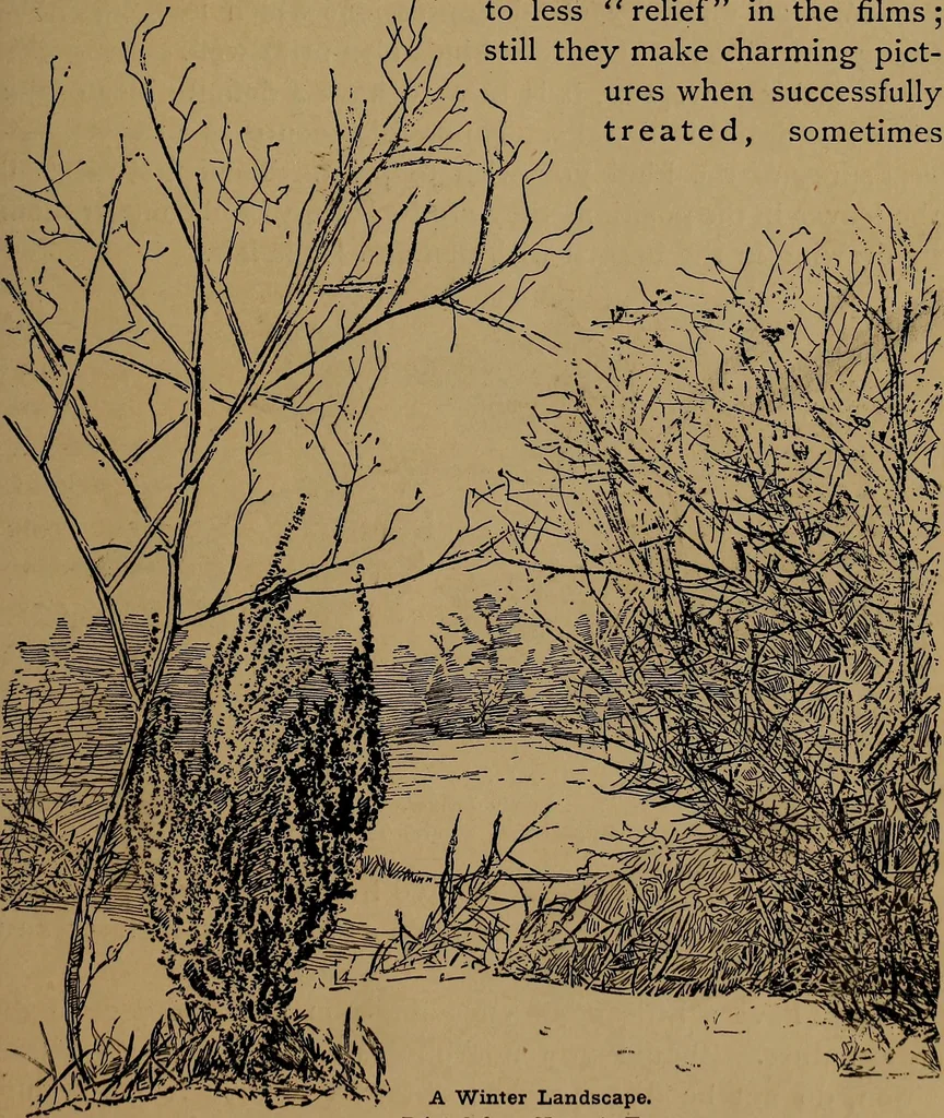 An illustration from How to amuse yourself and others : the American girl's handy book, 1887, leaf 144