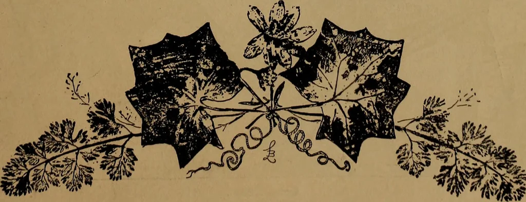 An illustration from How to amuse yourself and others : the American girl's handy book, 1887, leaf 146