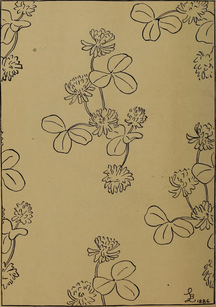 An illustration from How to amuse yourself and others : the American girl's handy book, 1887, leaf 155