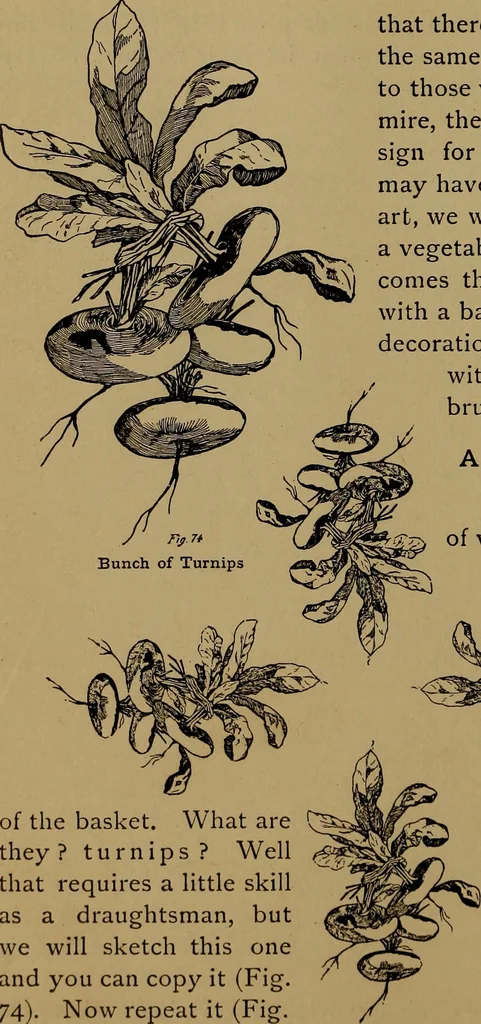 An illustration from How to amuse yourself and others : the American girl's handy book, 1887, leaf 159