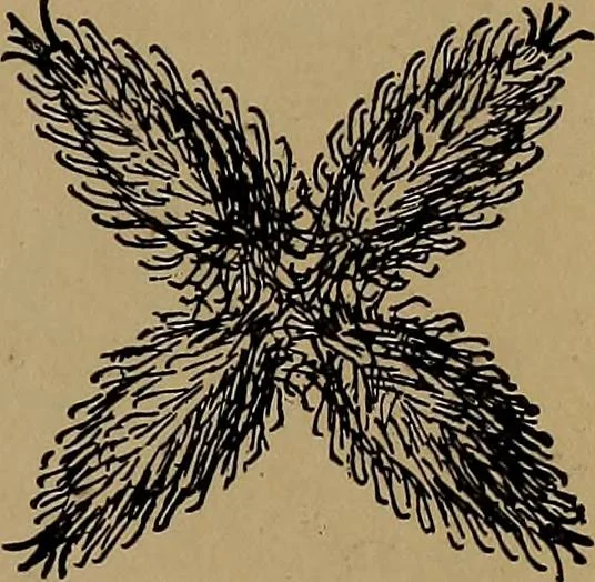 An illustration from How to amuse yourself and others : the American girl's handy book, 1887, leaf 164