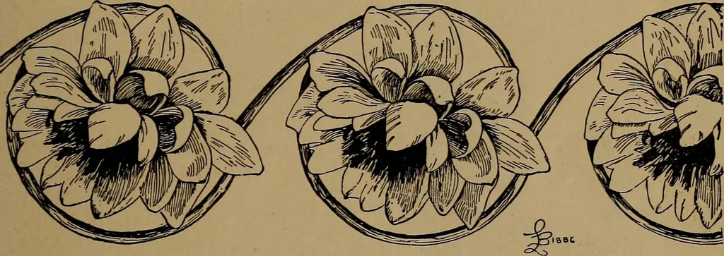 An illustration from How to amuse yourself and others : the American girl's handy book, 1887, leaf 166