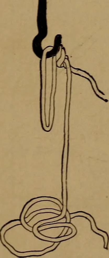 An illustration from How to amuse yourself and others : the American girl's handy book, 1887, leaf 178