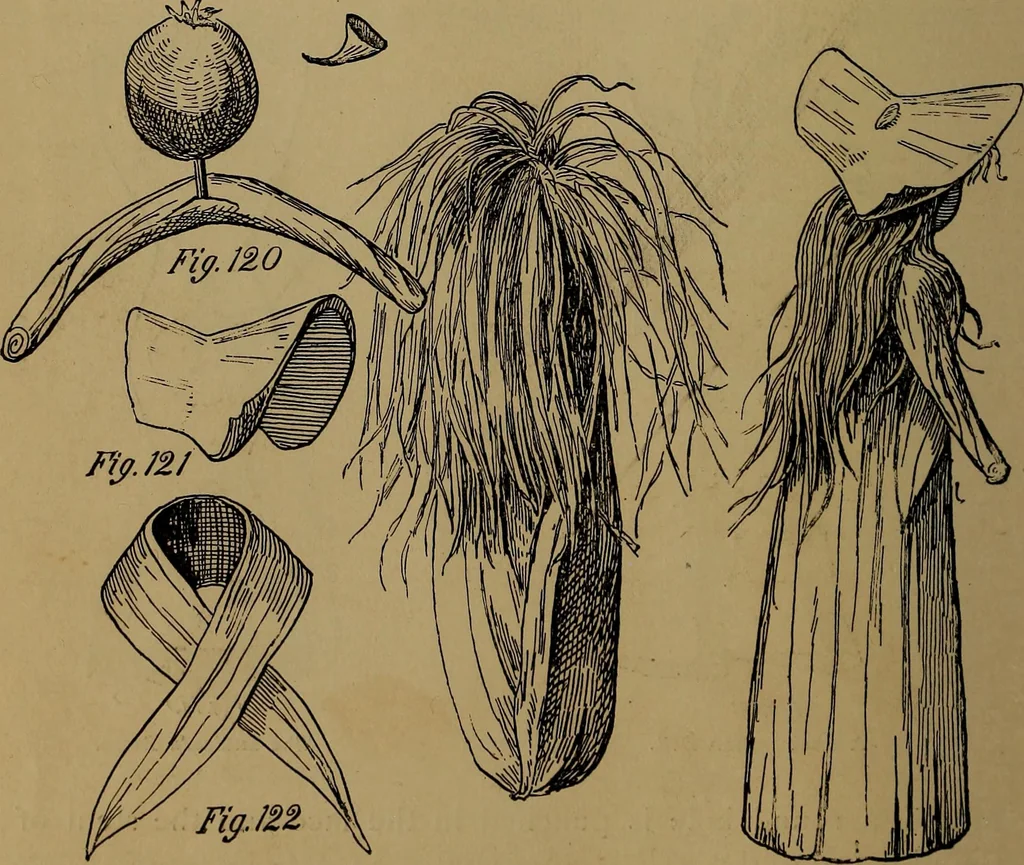 An illustration from How to amuse yourself and others : the American girl's handy book, 1887, leaf 191