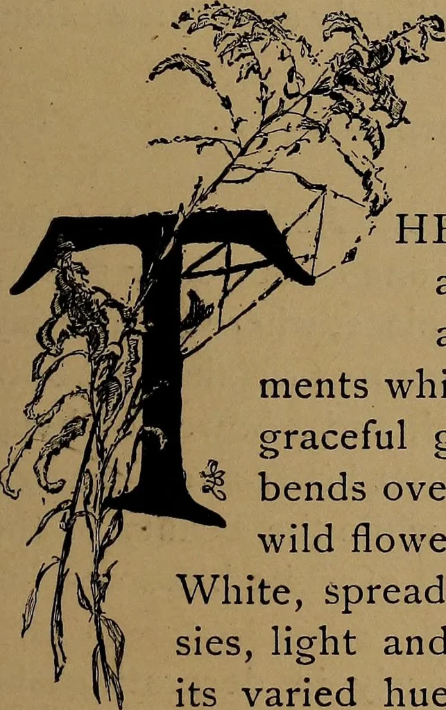 An illustration from How to amuse yourself and others : the American girl's handy book, 1887, leaf 218
