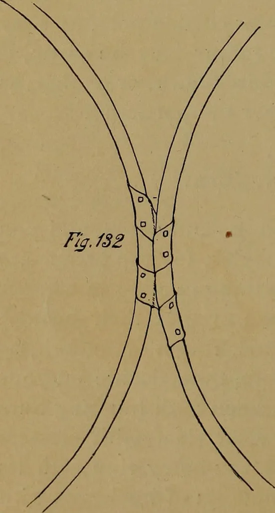 An illustration from How to amuse yourself and others : the American girl's handy book, 1887, leaf 223