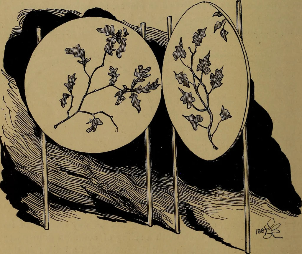 An illustration from How to amuse yourself and others : the American girl's handy book, 1887, leaf 225