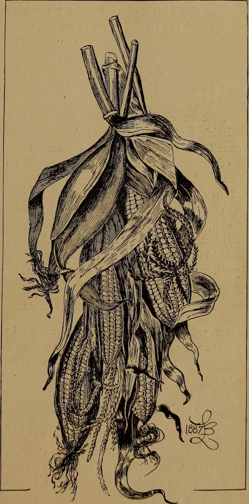 An illustration from How to amuse yourself and others : the American girl's handy book, 1887, leaf 226