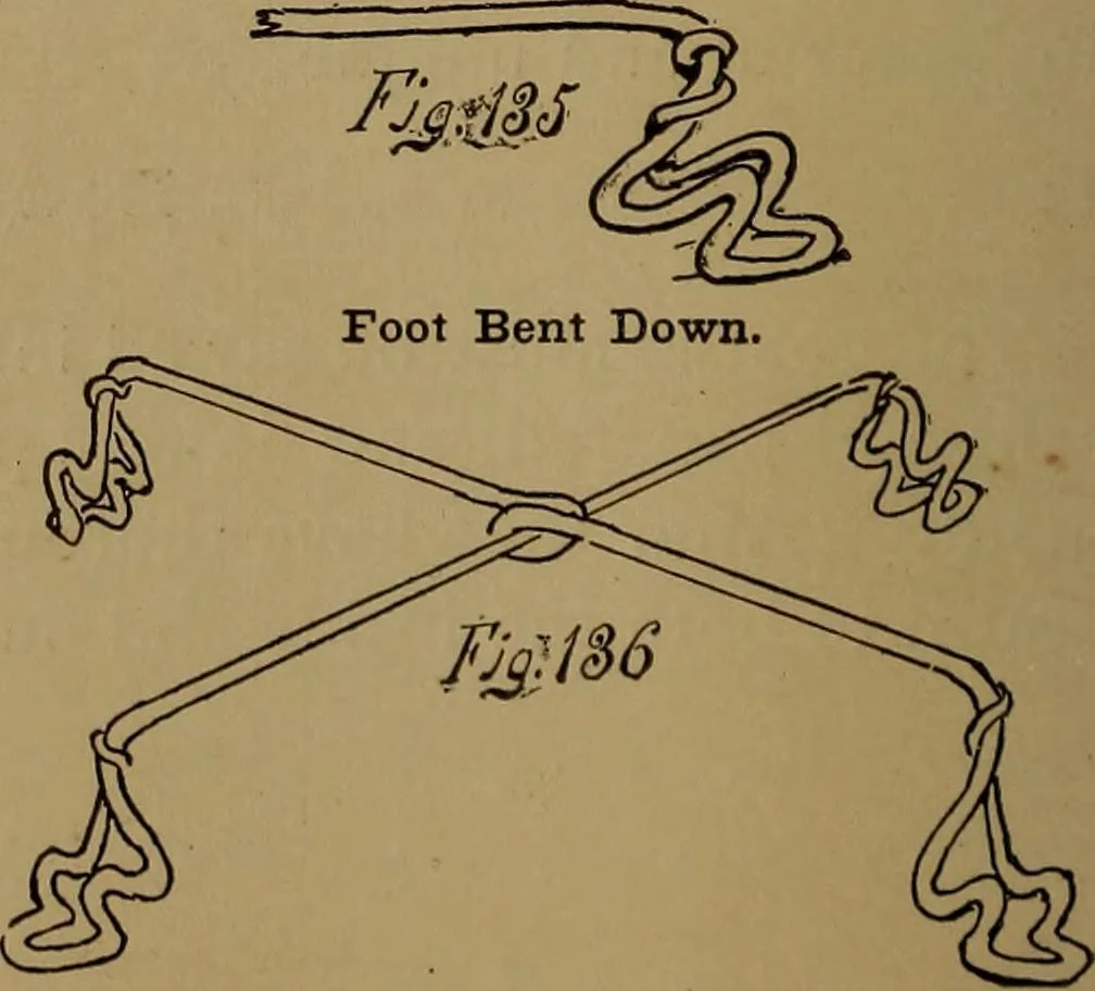 An illustration from How to amuse yourself and others : the American girl's handy book, 1887, leaf 229