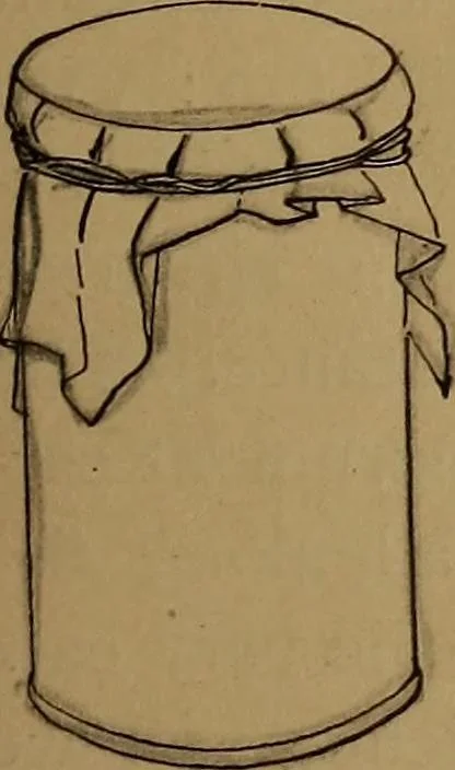 An illustration from How to amuse yourself and others : the American girl's handy book, 1887, leaf 242