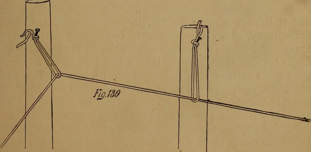 An illustration from How to amuse yourself and others : the American girl's handy book, 1887, leaf 242