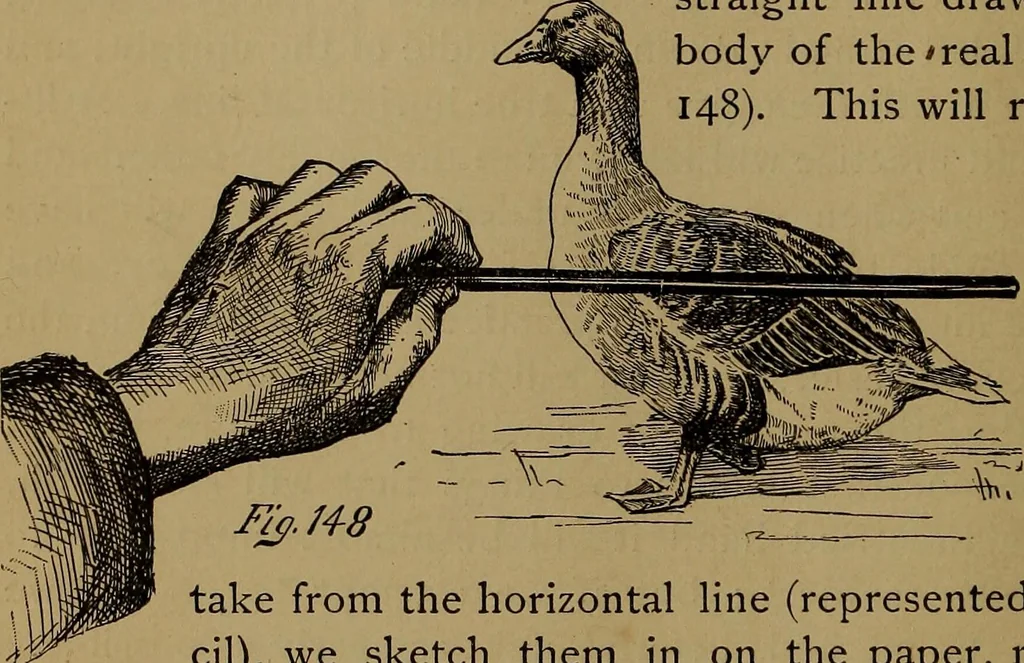 An illustration from How to amuse yourself and others : the American girl's handy book, 1887, leaf 253
