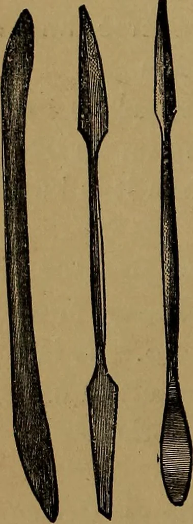 An illustration from How to amuse yourself and others : the American girl's handy book, 1887, leaf 277