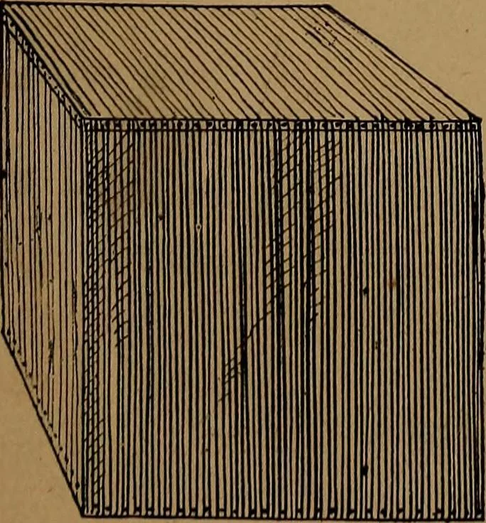 An illustration from How to amuse yourself and others : the American girl's handy book, 1887, leaf 278