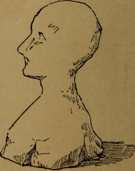 An illustration from How to amuse yourself and others : the American girl's handy book, 1887, leaf 279