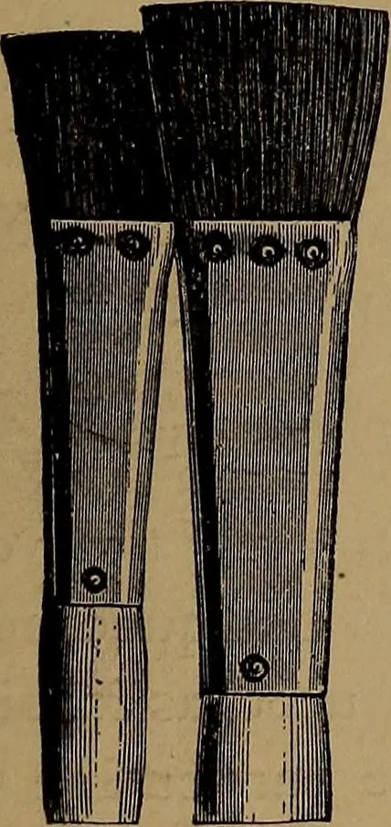 An illustration from How to amuse yourself and others : the American girl's handy book, 1887, leaf 290