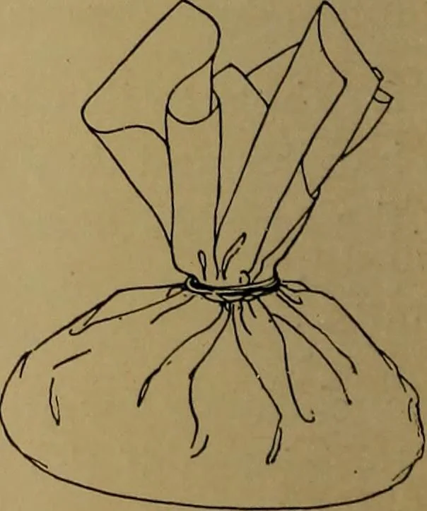 An illustration from How to amuse yourself and others : the American girl's handy book, 1887, leaf 291