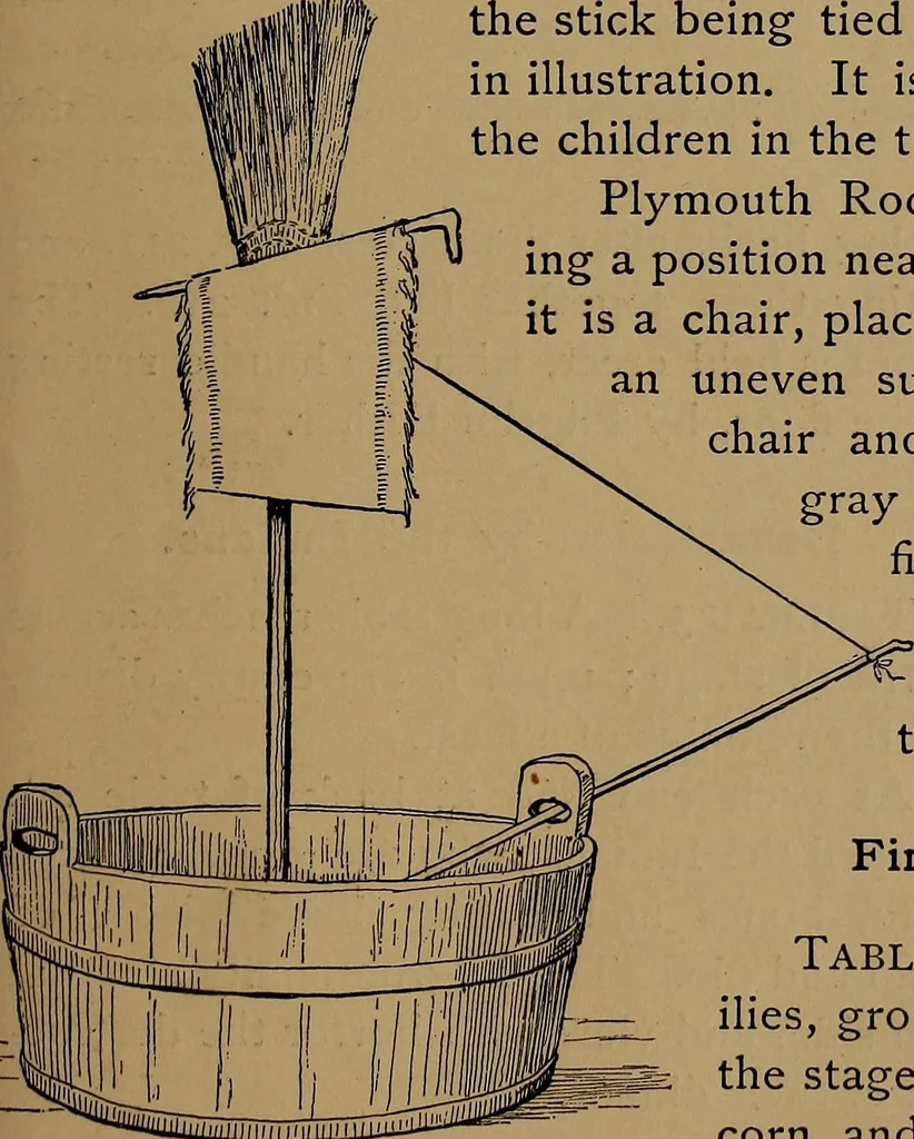 An illustration from How to amuse yourself and others : the American girl's handy book, 1887, leaf 324